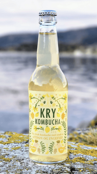 Kry kombucha med stiron og ingefær
