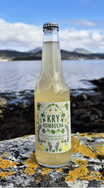 Kry kombucha lime og mynte