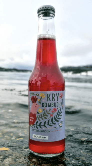 Hovedbilde Kry kombucha med solbær
